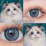 KSSEYE/Eyeshare Diamond Blue Color Contact Lens image