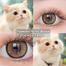 KSSEYE/Eyeshare Diamond Brown Color Contact Lens image