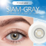 KSSEYE Pola Gray Color Contact Lens image