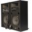 Kamasonic Bluetooth Speaker With Wireless Microphone - DJ-40 image