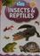 Kids Insects and Reptiles
