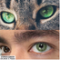 Ksseye Cyprus Green Color Contact Lens with Lens Kit Box For Men And Women.New Ksseye Cyprus Series image