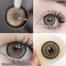 Ksseye Norko Brown Color Contact Lens image