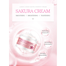 LAIKOU Japan Sakura Day Cream 30gm image