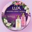 LUX Tempting Musk Perfumed Hand Wash Pump 250 ml image