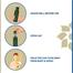 Lafz Body Spray Combo Package (Ibadet and Sadakat) With Free Kayani Dastoor Body Spray image