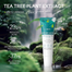 Laikou Bye Bye Acne Australia Tea Tree Gel - 15 gm image