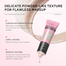 Laikou Japan Sakura Foundation Flawless Finish SPF 15PA 110 image