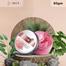Laikou Japan Sakura Mud Mask – 90g image