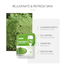 Laikou Matcha Mud Mask 5 gm -331941224 image