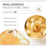 Laikou Snail Essence Cream - 25g image