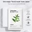 Lanbena Green Tea Sheet Mask image