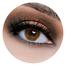Lareen Chocolate Color Contact Lenses image