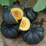 Laskar Pumpkin Black Seeds Imported Brand Intact Pack For Gardening 10gm image