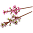 Lego 40725 Cherry Blossoms 8 Plus image