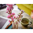Lego 40725 Cherry Blossoms 8 Plus image