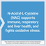 Life Extension N-Acetyl-L-Cysteine (NAC) 600mg 60Capsules image
