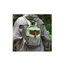 Lightweight Sports Backpack image