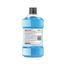 Listerine Tartar Protection Mouthwash 750 ml W. Free 250 ml image