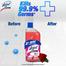 Lizol Floor Cleaner 500ml Floral image