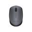 Logitech M171 Wireless Mouse, Gray image