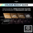 Loreal Hair Color Preference - 2.013 Deep Black image