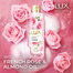 Lux Body Wash French Rose And Almond 245 Ml image