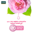 MAYA True Herbs Rose Gel - 250 ml image