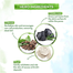 Mamaearth Charcoal Face Wash with Activated Charcoal And Coffee for Oil Control 100ml INDIAN image