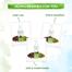 Mamaearth Henna Hair Oil with Henna and Coffee Oil -293448432 image