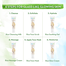 Mamaearth Rice Facial Kit With Rice Water and Niacinamide 60 gm -355575822 image