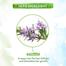 Mamaearth Rosemary Essential Oil for Hair Growth - 15ml -326939650 image