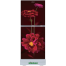 Minister M-165N Red Peony 165 Ltr Refrigerator image