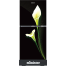 Minister M-165 Black Arum Lily image