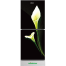 Minister M-175 Black Arum Lily 175 Ltr Refrigerator image