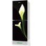 Minister M-175 Black Arum Lily 175 Ltr Refrigerator image