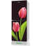 Minister M-175 Tulip 175 Ltr Refrigerator image