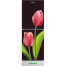 Minister M-175 Tulip 175 Ltr Refrigerator image