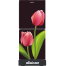 Minister M-175g Tulip Full Match 175 Ltr Refrigerator image