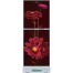 Minister M-195N Red Peony 195 Ltr Refrigerator image