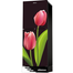 Minister M-224 El Tulip 224 Ltr Refrigerator image