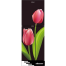 Minister M-224 El Tulip 224 Ltr Refrigerator image