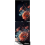 Minister M-242 El Gerbera Daisy Refrigerator image