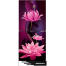 Minister M-256 El Purple Lotus 256 Ltr Refrigerator image