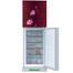 Minister M-285 SD Red Begonia 285 Ltr Refrigerator image