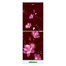 Minister M-350 Red Begunia image