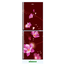 Minister M-355 Red Begunia image
