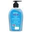 Minister Safety Plus Hand Wash Pump (Blue Fresh) - 200 Plus 50 Ml image