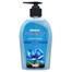 Minister Safety Plus Hand Wash Pump (Blue Fresh) - 200 Plus 50 Ml image