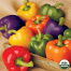 Mix Color hybrid Capsicum 10 Pcs Seeds 1 gm image